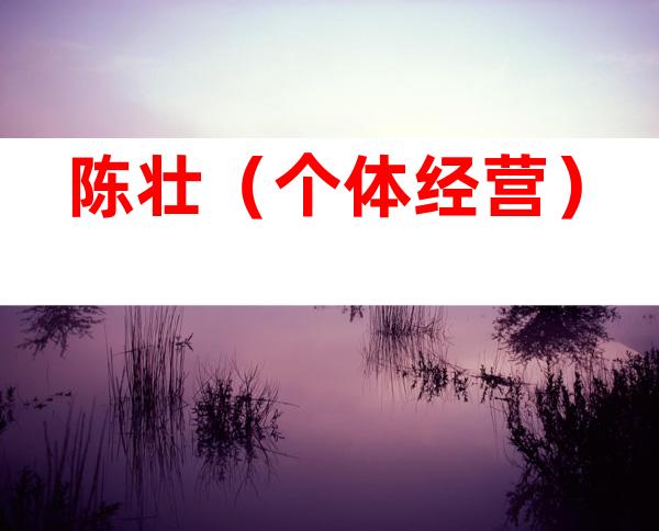 陈壮（个体经营）